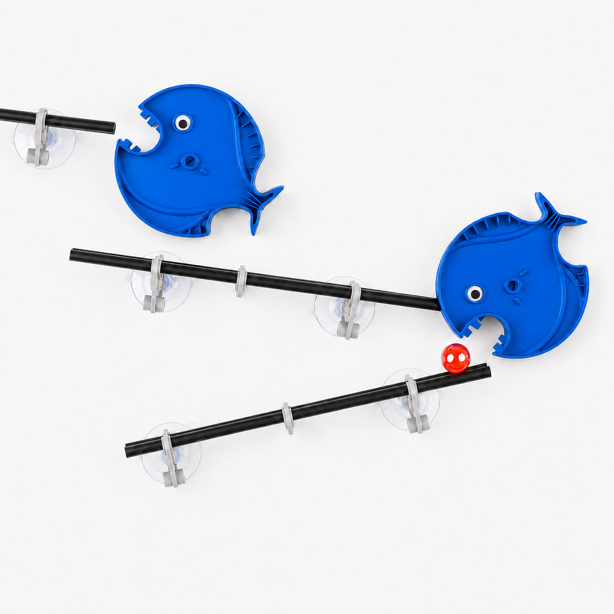 Piranhas