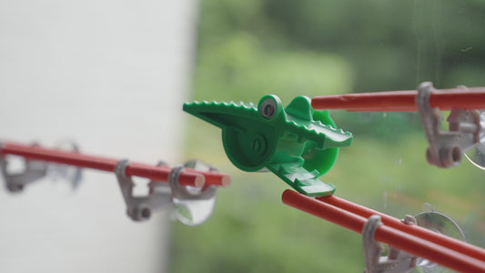 Alligators